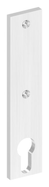 Langschild- Abmessung- 32 x 156 x 6mm- V2A-88-1110678.240