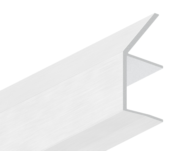 Regenrinne Vordach Aluminium eloxiert fuer Glas 21-52 mm L = 6000 mm E4-EV1-88-11VDE-RE-6000.21
