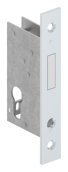 Rohrrahmen-Riegelschloss Zinkdruckguss Dornmass 40 mm Riegelausschluss 22 mm fuer Profilzylinder-88-1140111.40
