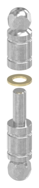 Zierscharnier Edelstahl 24 mm mit Zierkoepfen-88.113811