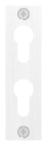 Zylinderrosette fuer zwei Profilzylinder- 32x120x6mm- V2A-88-1116063.240