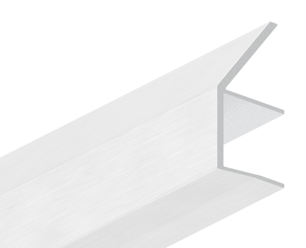Regenrinne Aluminium eloxiert fuer Glas 17-52 mm L = 6000 mm Vordachsystem-88-11VDE-RE-6000.17