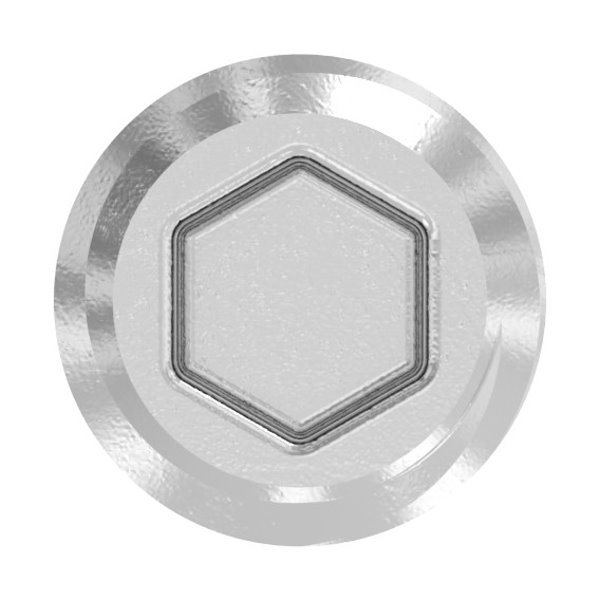 Gewindestift Edelstahl V2A M5 x 10 mm mit Innensechskant Spitze DIN 914-88-1158306-240.10