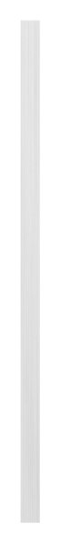 Langschild Edelstahl V2A 32 x 156 x 6 mm geschliffen Korn 240 fuer Schlosskaesten-88-1110678.240