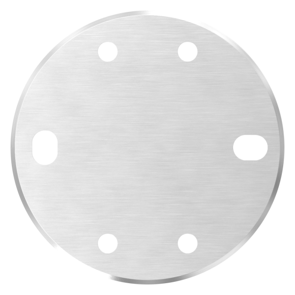 Ankerplatte Ø 120 mm fuer Spannring V2A-11-3071.4