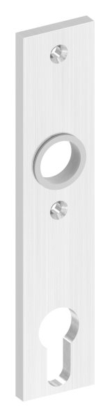 Langschild- Abmessung- 32 x 156 x 6mm- V2A-88-1110686.240