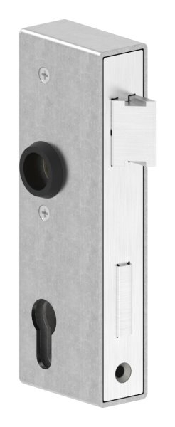 Schlosskasten - Masse- 173x60x30 mm - Dorn- 40 mm - Stahl -roh- S235 JR Abstand 72 mm-30-3200.8