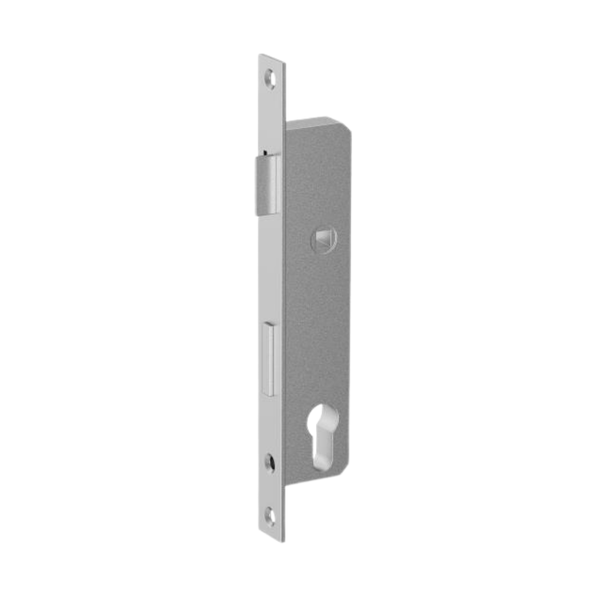Einsteckschloss Edelstahl AISI 304 fuer Profil 50x30 mm- verzinkt- 90 mm Axialabstand-89-11B83035X90B-A.4