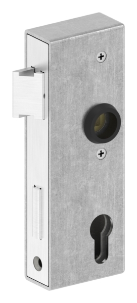 Schlosskasten - Masse- 173x60x30 mm - Dorn- 40 mm - Stahl -roh- S235 JR Abstand 72 mm-30-3200.8