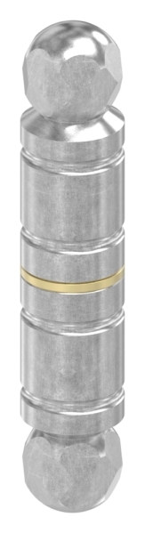 Zierscharnier Edelstahl 24 mm mit Zierkoepfen-88.113811
