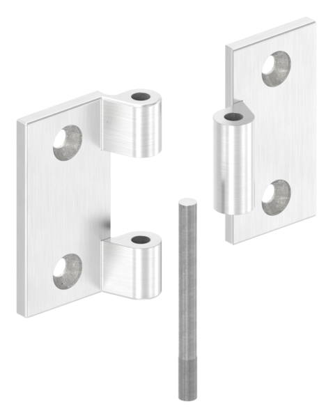 Anschraubscharnier Edelstahl V4A fuer flache Profile zum Anschrauben-88-1156520-V4A.00
