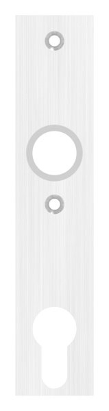 Langschild Edelstahl V2A 32 x 156 x 6 mm eckig geschliffen Korn 240-88-1110686.240