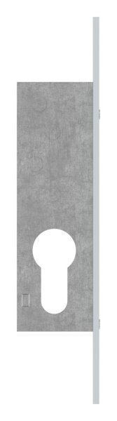 Rohrrahmen-Riegelschloss Riegel Zinkdruckguss Dornmass 18 mm fuer Profilzylinder 1-tourig-88-1140110.18