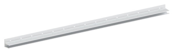 Vordachprofil Aluminium L = 3000 mm eloxiert E4-EV1-88-11VDE-3000.ALU