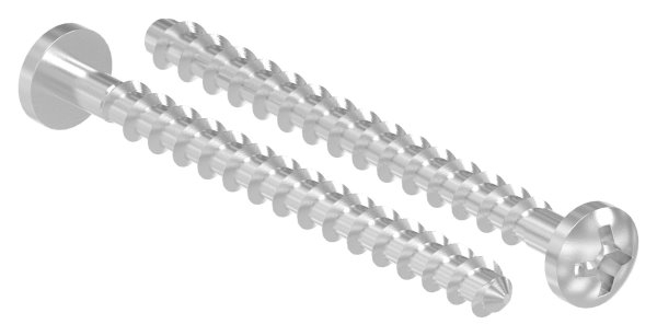 Spanplattenschraube V2A 6x70 mm Pozidriv Halbrundkopf ISO 88096-88-1158359-240.70