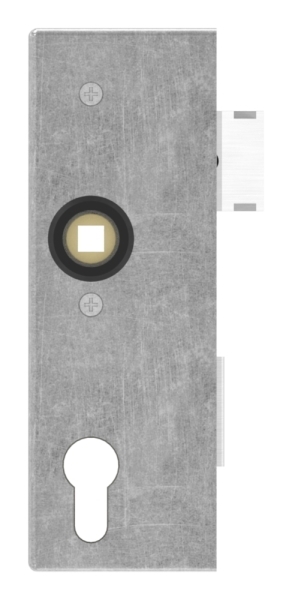 Schlosskasten verzinkt 40x60x173 mm Edelstahl Stulp-30-3201.8