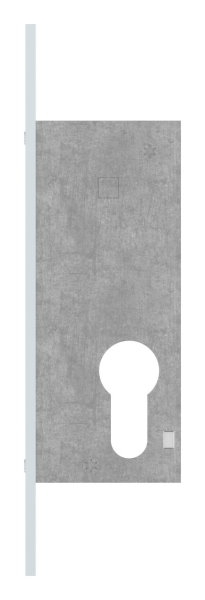 Rohrrahmen-Riegelschloss Zinkdruckguss Dornmass 30 mm fuer Profilzylinder-88-1140111.30