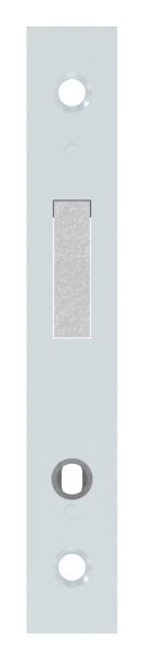 Rohrrahmen-Riegelschloss Zinkdruckguss Dornmass 30 mm fuer Profilzylinder-88-1140111.30