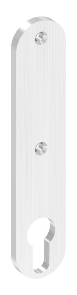 Langschild Edelstahl V2A 32 x 156 x 6 mm gerundet fuer Schlosskaesten-88-1115057.240